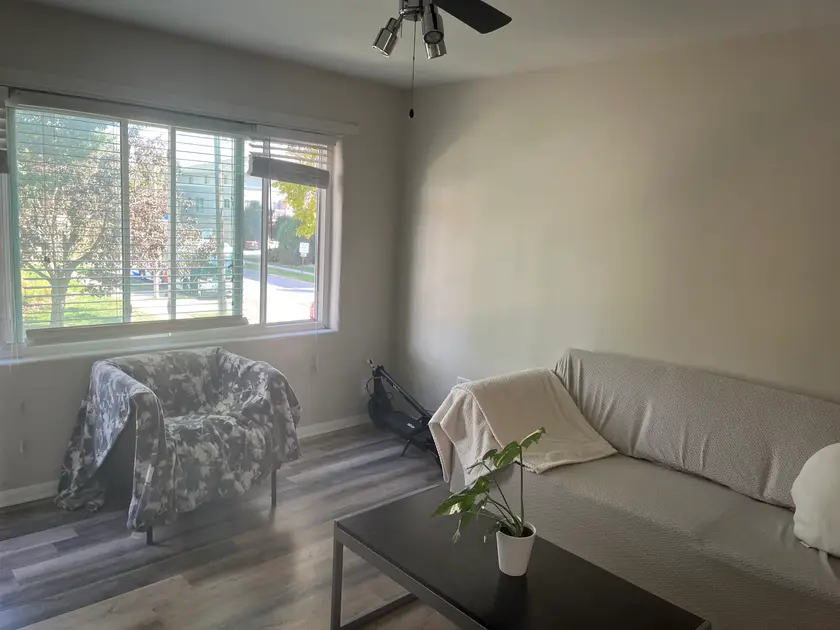 Private room at 1002 W Springfield Ave, Urbana, IL 61801, photo 5 of 6