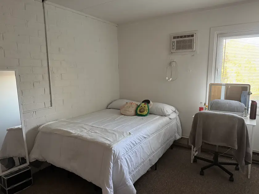 Room photo, 505 S Busey Ave, Urbana, IL 61801
