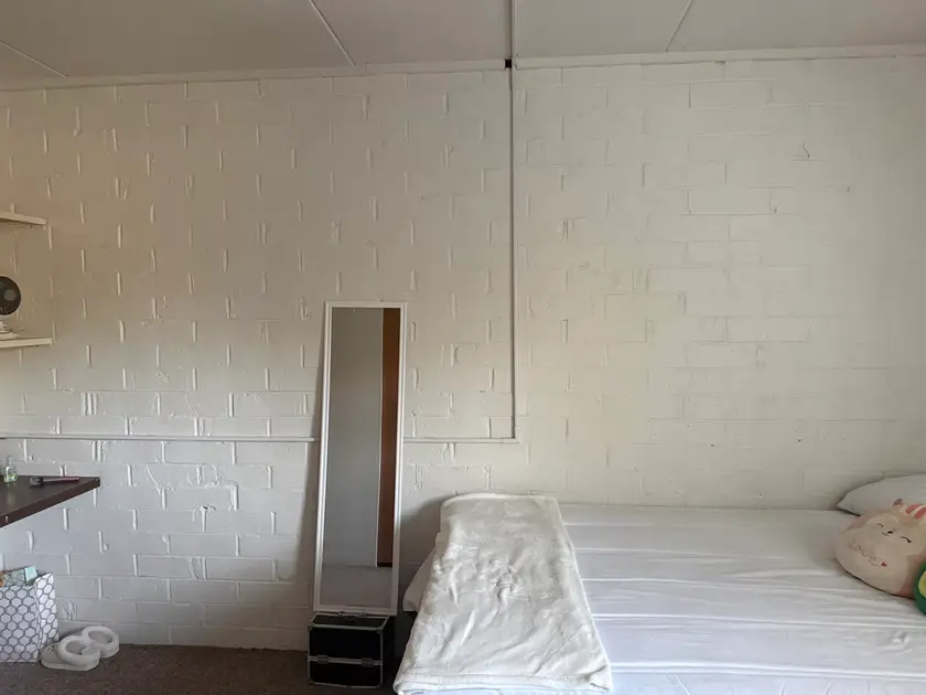Private room at 505 S Busey Ave, Urbana, IL 61801, photo 3 of 4