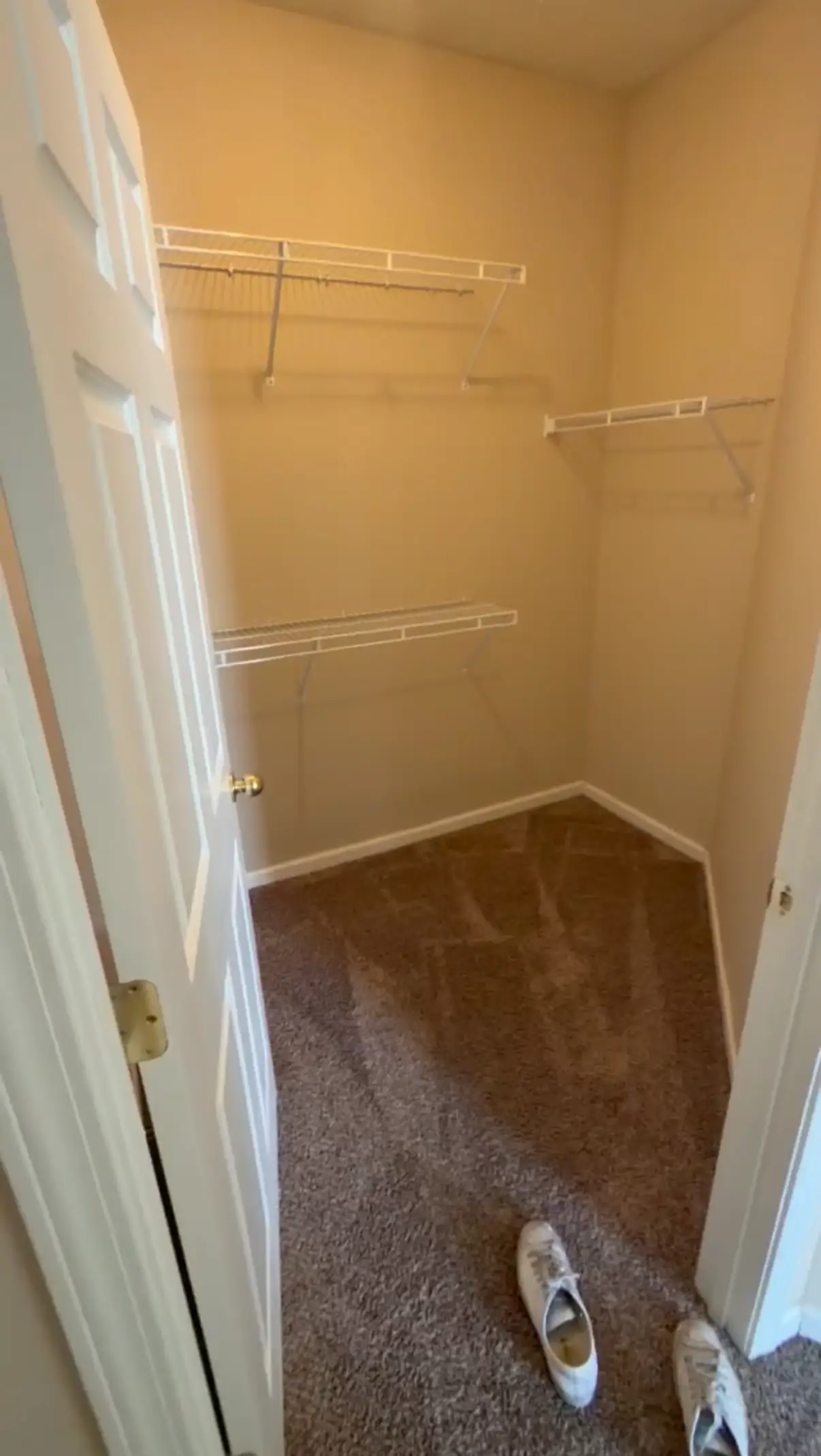 Private room at 1901 N Lincoln Ave, Urbana, IL 61801